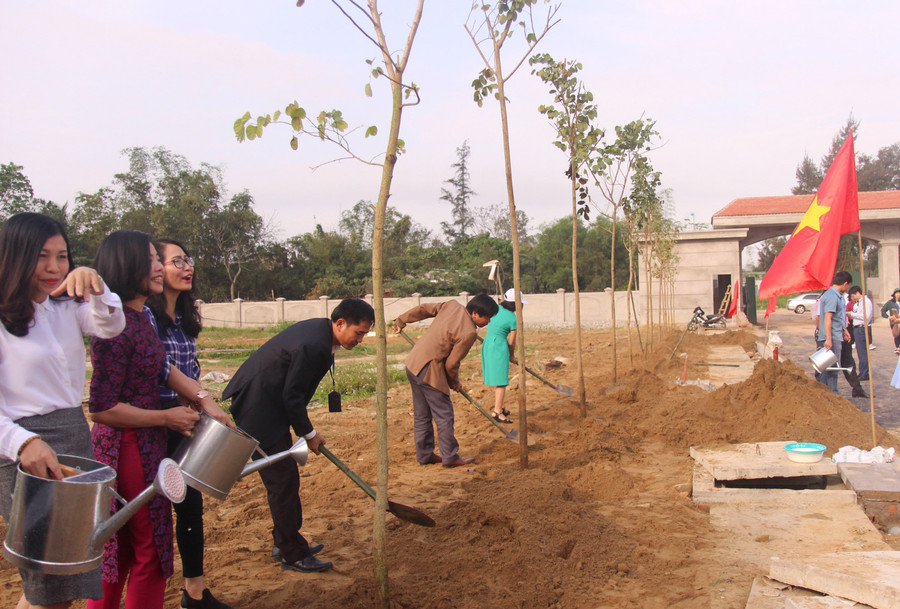 Trồng hoa ban đỏ tại cơ sở 2 Đại học Vinh