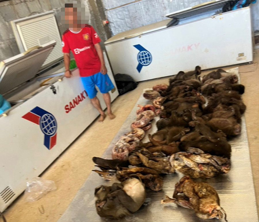 Các cá thể động vật mà cơ quan công an thu giữ tại trụ sở Công ty TNHH MTV Trương Phúc Nam. (Ảnh: Đ.N)