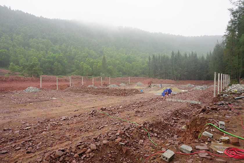 Một diện tích rừng phòng hộ bị san ủi làm nền ao nuôi tôm