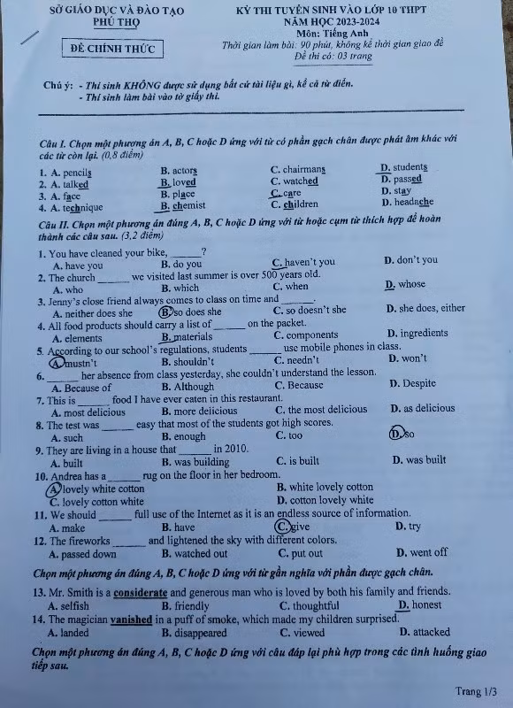 Đề Tiếng Anh trang 1 (Đề do thí sinh cung cấp)