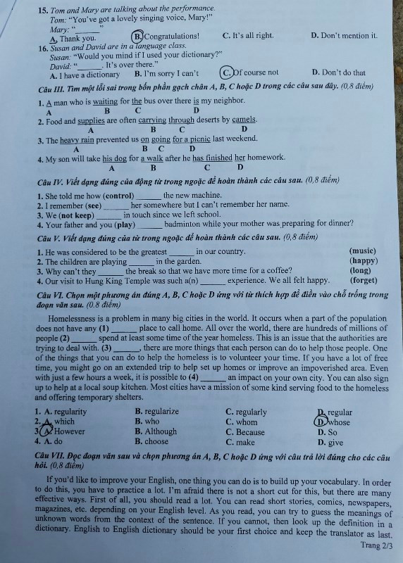 Đề Tiếng Anh trang 2 (Đề do thí sinh cung cấp)