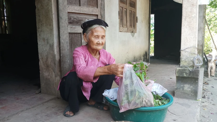 Cụ Đỗ Thị Mơ (83 tuổi), ở xã Lương Sơn, huyện Thường Xuân (Thanh Hóa) đã lên UBND xã đề nghị được thoát nghèo.