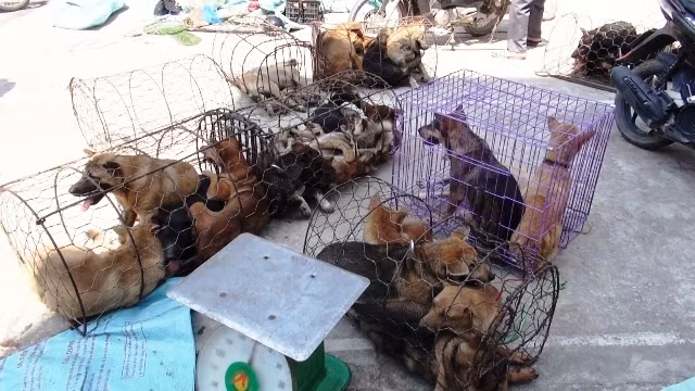 Tang vật của vụ án. Ảnh: Công an cung cấp.