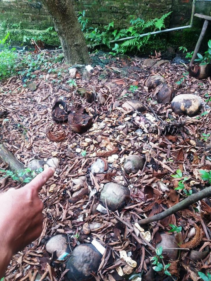 Khu vực ông Nguyễn Đình Khôi đổ số trứng rắn. Ảnh: Công an xã Nga Liên cung cấp.