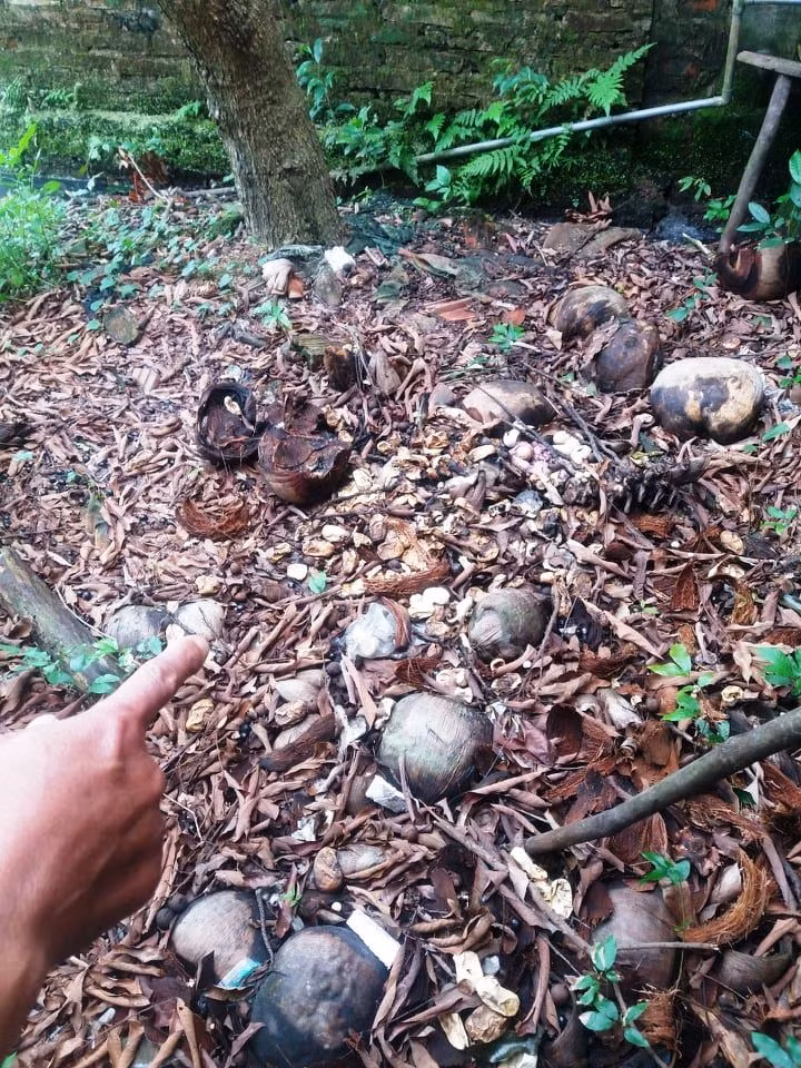 Khu vực ông Nguyễn Đình Khôi đổ số trứng rắn. Ảnh: Công an xã Nga Liên cung cấp.