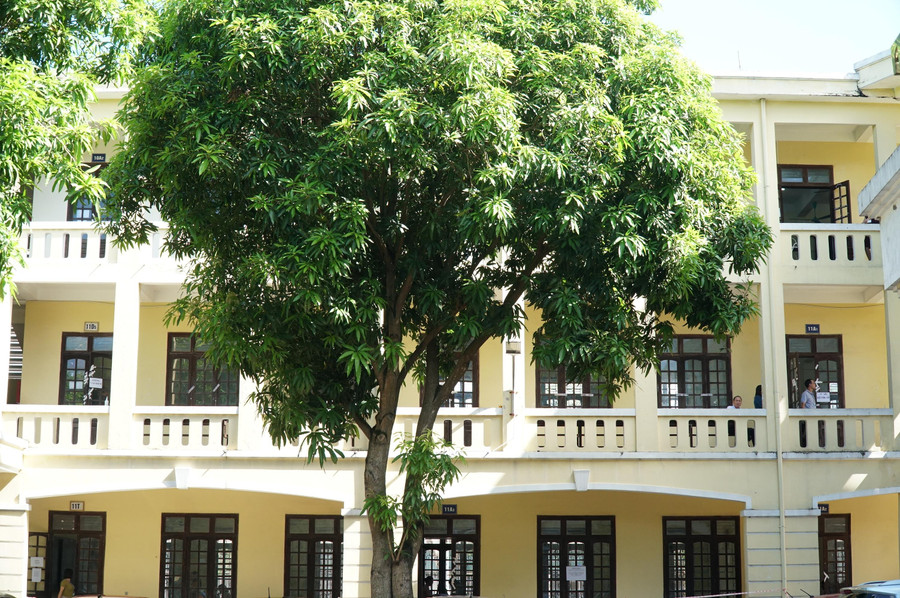 Nghệ An triển khai chấm thi tốt nghiệp THPT từ ngày 9/7, tại Trường THPT Lê Viết Thuật, TP Vinh. Nghệ An triển khai chấm thi tốt nghiệp THPT từ ngày 9/7, tại Trường THPT Lê Viết Thuật, TP Vinh.