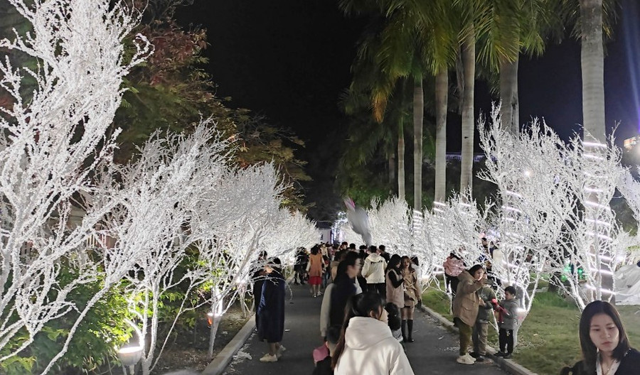 Những cây tuyết giả được trang trí trong khuôn viên Tòa Giám mục ở TP Thanh Hóa. Những cây tuyết giả được trang trí trong khuôn viên Tòa Giám mục ở TP Thanh Hóa.