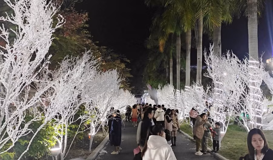 Những cây tuyết giả được trang trí trong khuôn viên Tòa Giám mục ở TP Thanh Hóa.