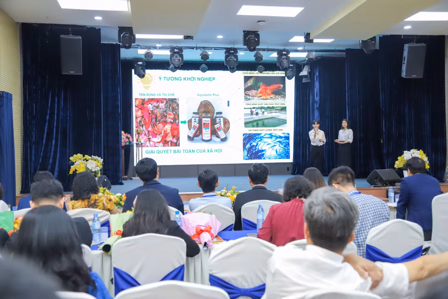 Dự án Aquabetle Plus được trình bày trước hội đồng Ban giám khảo. Ảnh: Hoàng Nga