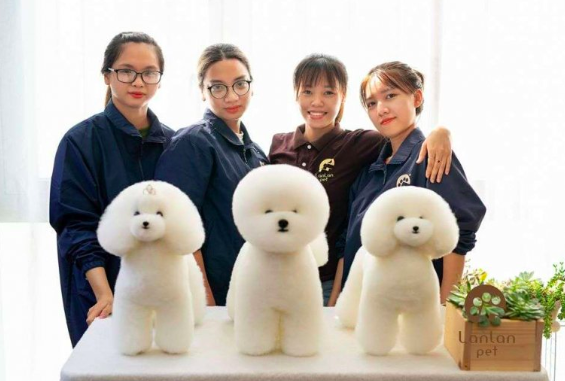 Lanlan Petshop là một địa chỉ nổi tiếng trong giới &quot;yêu thú cưng&quot; vì cắt tỉa lông rất đẹp.