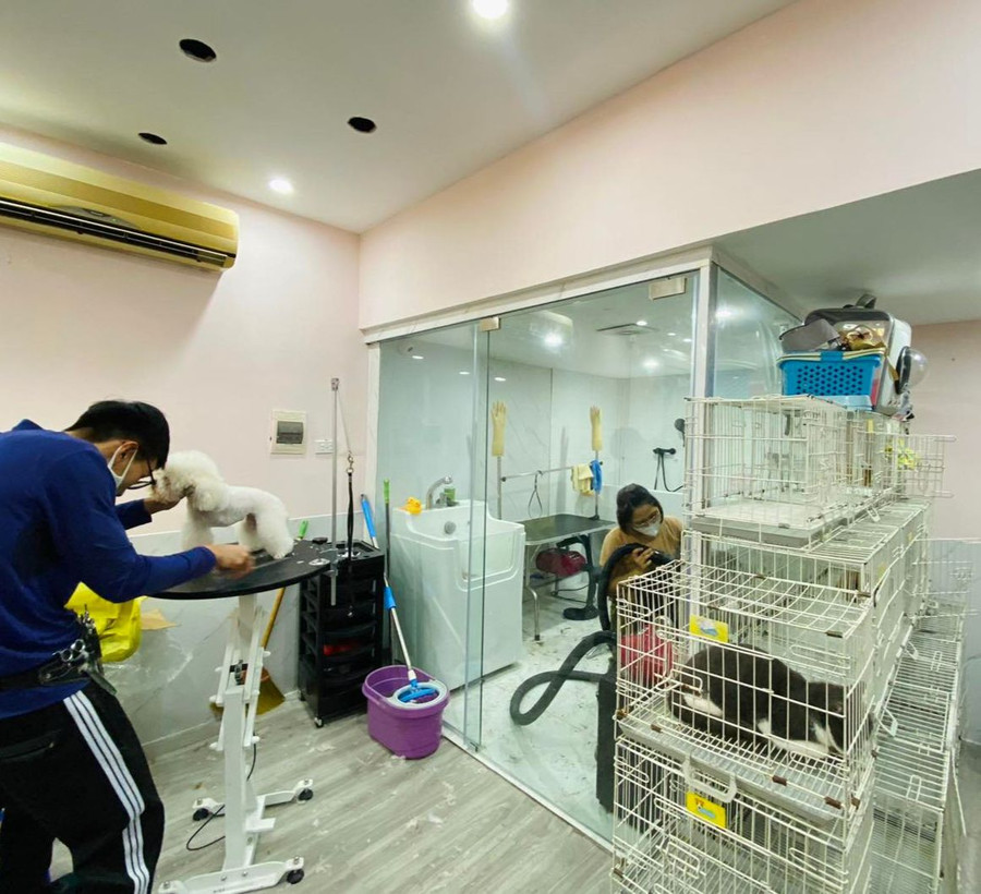 Cơ sở vật chất rộng rãi và sạch sẽ chắc chắn không làm bạn thất vọng.