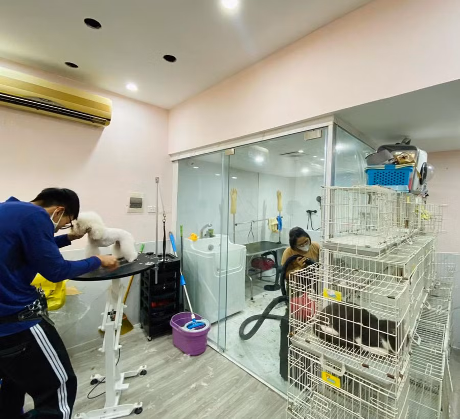 Cơ sở vật chất rộng rãi và sạch sẽ chắc chắn không làm bạn thất vọng.