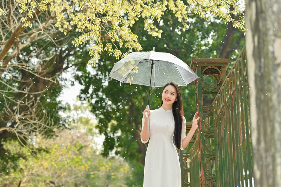 Mùa hoa sưa này có rất nhiều cô gái muốn lưu lại những bức ảnh làm kỉ niệm.