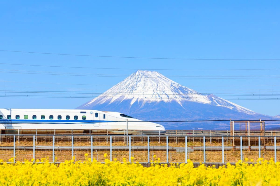 Sinh viên thậm chí có thể đi tàu shinkansen nổi tiếng, hay còn gọi là tàu cao tốc, một trong những chuyến tàu nhanh nhất thế giới.