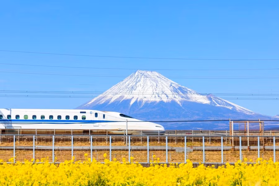 Sinh viên thậm chí có thể đi tàu shinkansen nổi tiếng, hay còn gọi là tàu cao tốc, một trong những chuyến tàu nhanh nhất thế giới.