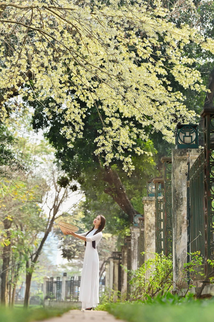 Cô gái được khen ngợi vì vẻ xinh đẹp và chiều cao nổi bật.