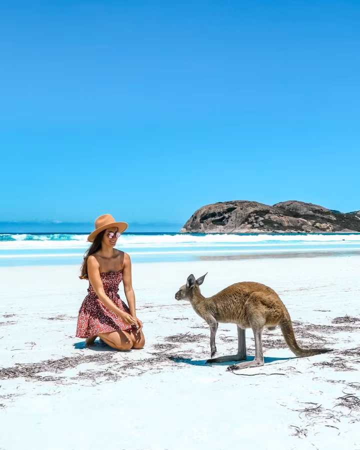 Úc có số động vật hoang dã đa dạng nhất trên trái đất.