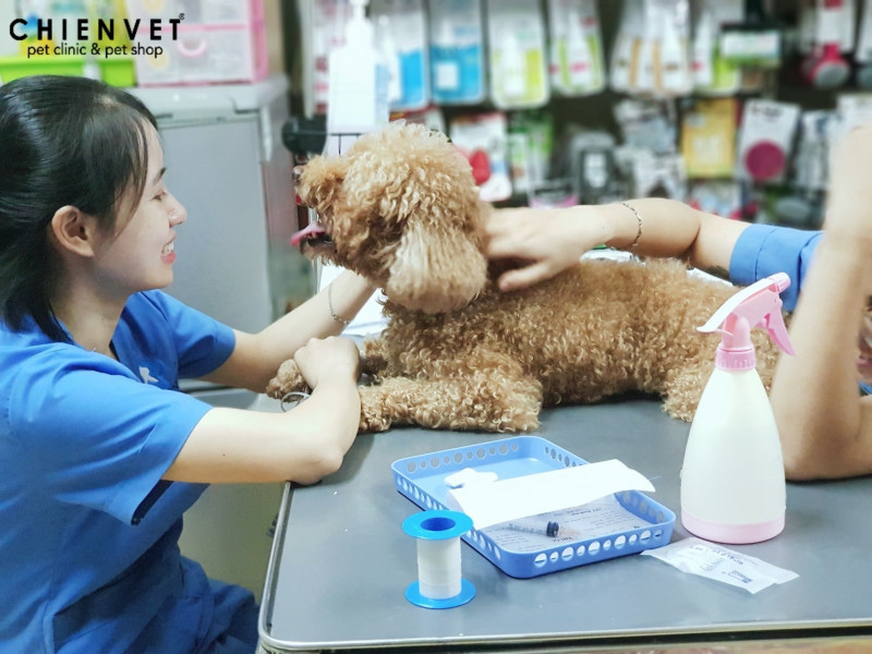 Các bác sĩ ở đây có kinh nghiệm nhiều năm trong nghành thú y và luôn tận tâm hết mình.