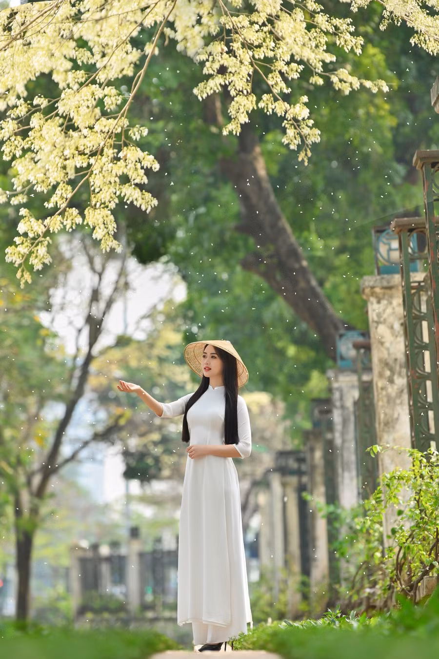 Cô được đánh giá cao ở nhiều cuộc thi nhan sắc. Cô được đánh giá cao ở nhiều cuộc thi nhan sắc.