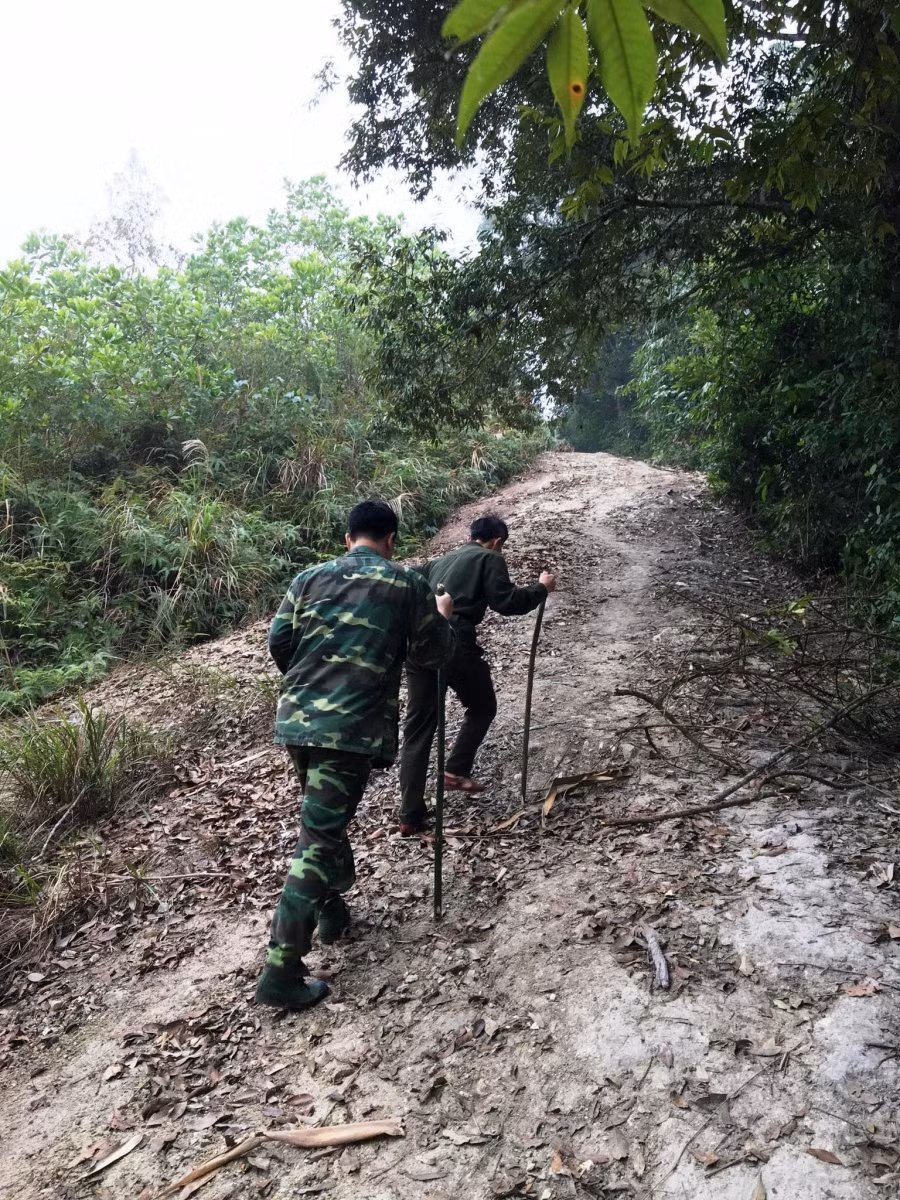 Lực lượng Kiểm lâm huyện Lang Chánh đi tuần tra rừng trong những ngày thời tiết khắc nghiệt.
