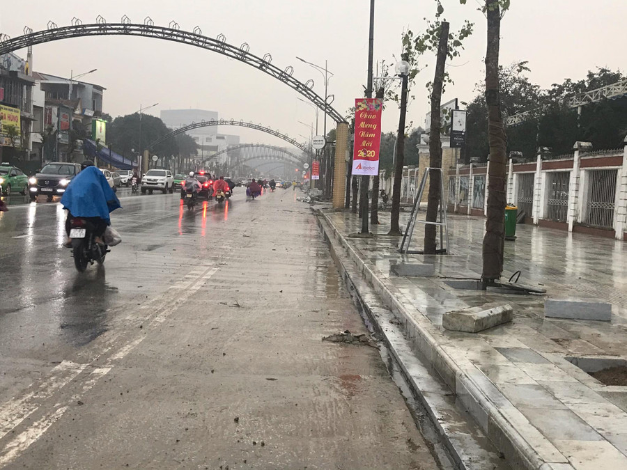 Việc thay thế cây xanh trên các tuyến phố đi bộ TP Vinh, Nghệ An đã cơ bản hoàn thành