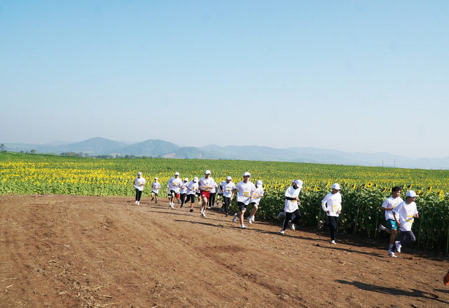 Giải chạy được tổ chức tại đồi hoa hướng dương ngoài tạo ra trải nghiệm đẹp cho vận động viên, còn mang ý nghĩa về nỗ lực vươn lên đạt những giá trị tốt đẹp trong học tập, cuộc sống như những bông hoa luôn hướng về mặt trời.