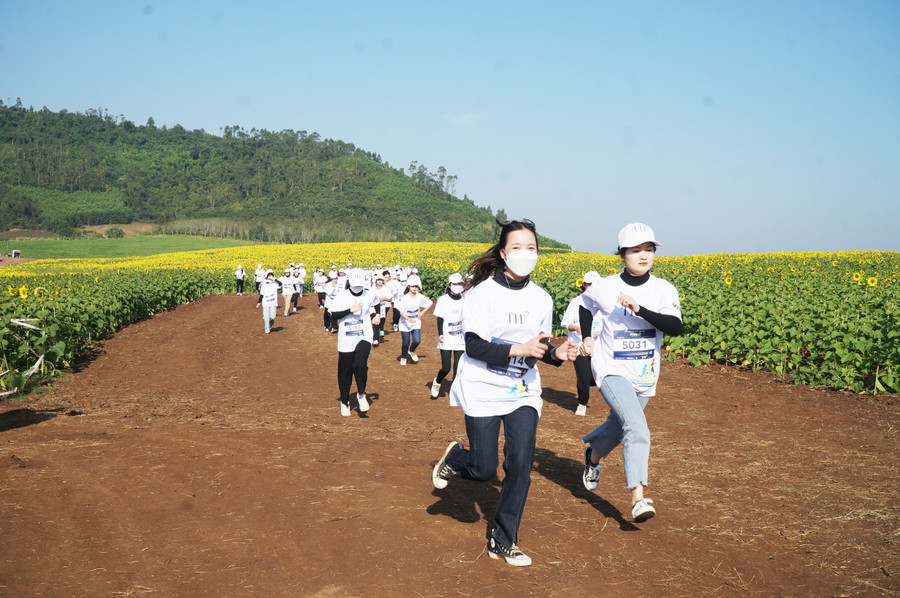 Đường chạy của S-Race 2022 tại Nghệ An bao quanh đồi hoa hướng dương (huyện Nghĩa Đàn) tạo trải nghiệm đặc biệt cho các vận động viên tham gia.
