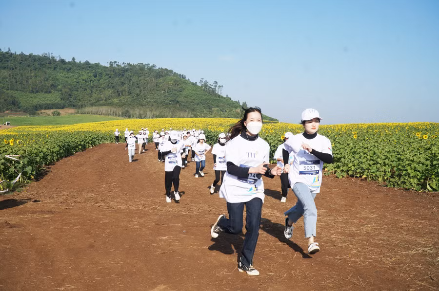 Đường chạy của S-Race 2022 tại Nghệ An bao quanh đồi hoa hướng dương (huyện Nghĩa Đàn) tạo trải nghiệm đặc biệt cho các vận động viên tham gia.