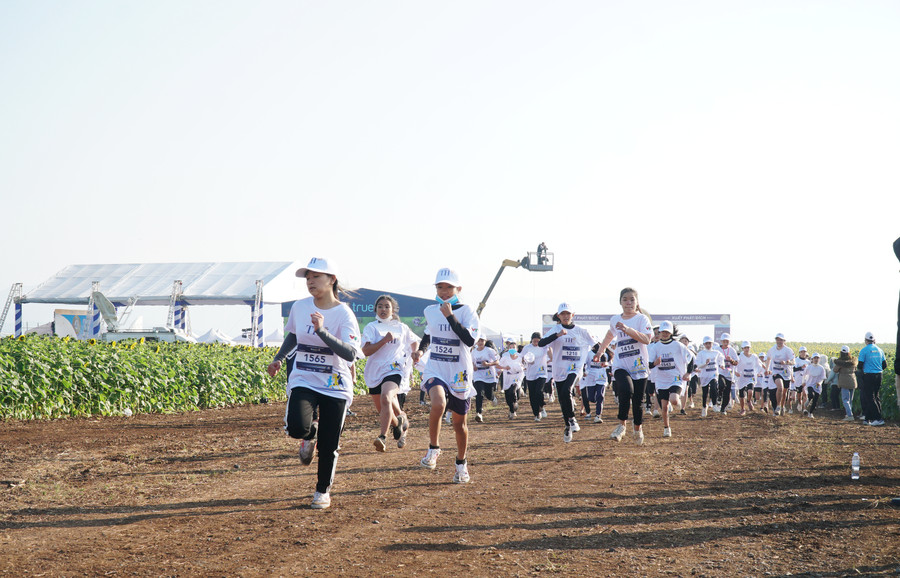 Giải chạy gồm các nội dung chạy cự ly 1,5km đối với học sinh THCS, nữ học sinh THPT, nữ sinh viên và cự ly 3km đối với nam học sinh THPT và nam sinh viên.