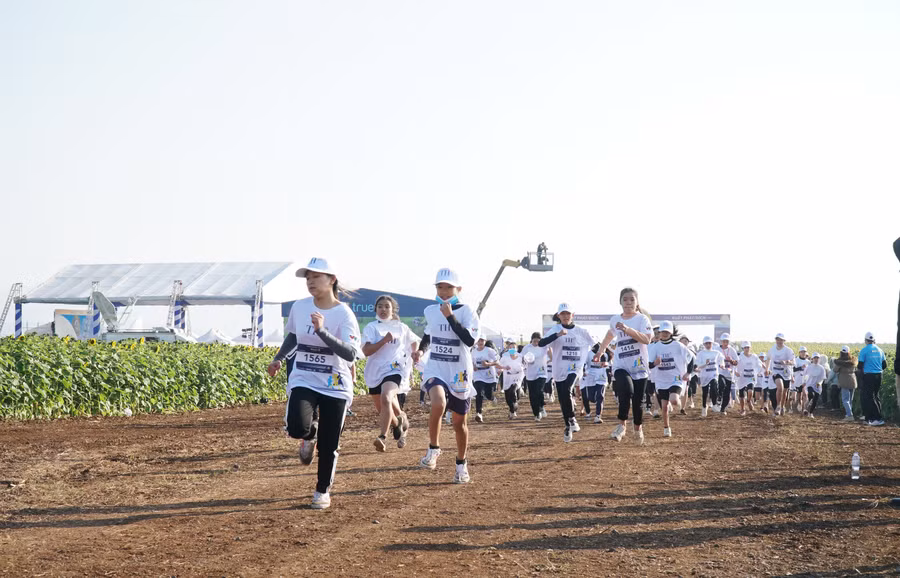 Giải chạy gồm các nội dung chạy cự ly 1,5km đối với học sinh THCS, nữ học sinh THPT, nữ sinh viên và cự ly 3km đối với nam học sinh THPT và nam sinh viên.