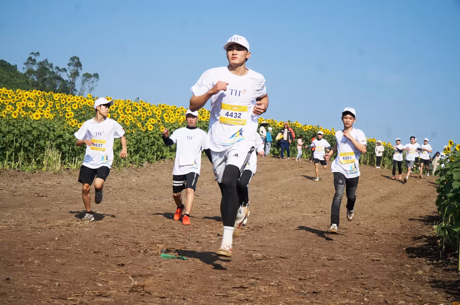 Thời tiết sáng nay (25/12) tại đồi hoa hướng dương huyện Nghĩa Đàn, Nghệ An tuy lạnh nhưng khô ráo, nắng đẹp, tạo thuận lợi cho vận động viên tham gia giải chạy.