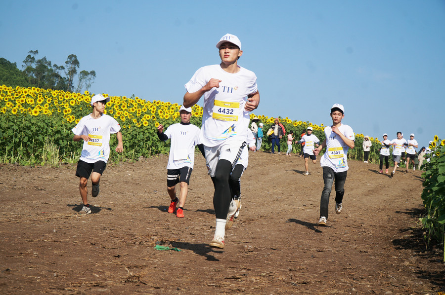 Thời tiết sáng nay (25/12) tại đồi hoa hướng dương huyện Nghĩa Đàn, Nghệ An tuy lạnh nhưng khô ráo, nắng đẹp, tạo thuận lợi cho vận động viên tham gia giải chạy.