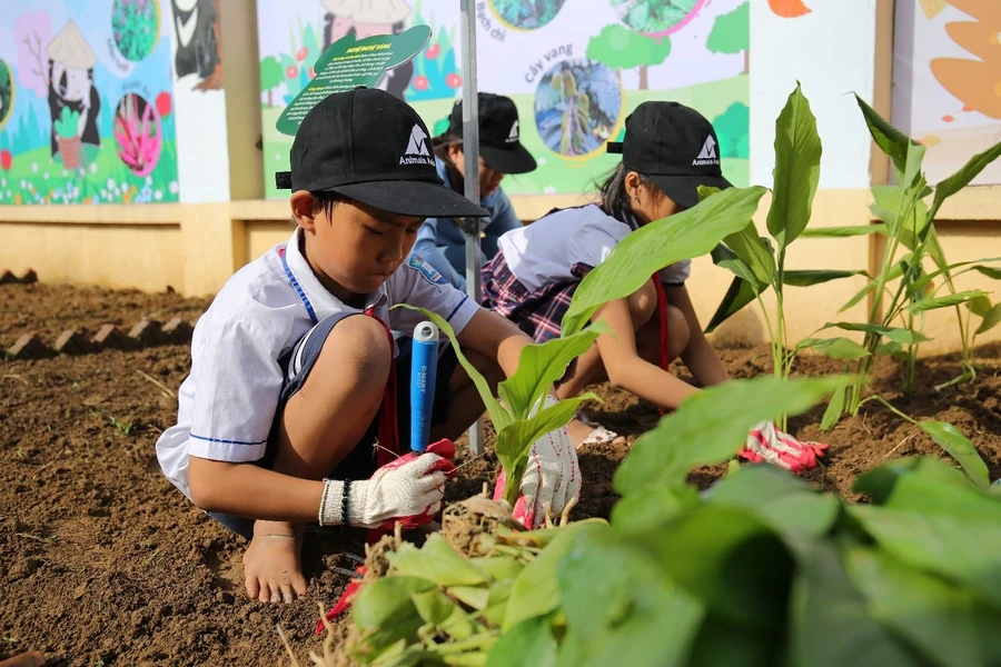 Phòng chống thiên tai bằng chính việc bảo vệ môi trường