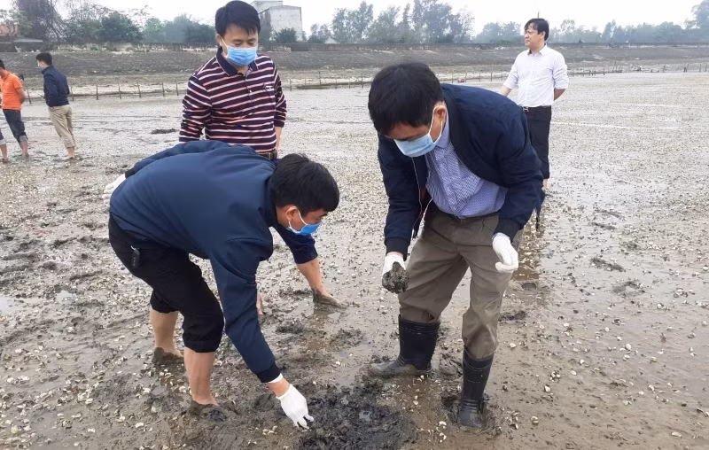 Cán bộ ngành Nông nghiệp Thanh Hóa kiểm tra thực trạng ngao chết hàng loạt ở phường Hải Ninh, thị xã Nghi Sơn (Thanh Hóa).