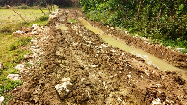 Con đường vận chuyển gỗ của "lâm tặc" nằm sát với Đội bảo vệ quản lý rừng Thung Chấn. Con đường vận chuyển gỗ của "lâm tặc" nằm sát với Đội bảo vệ quản lý rừng Thung Chấn.