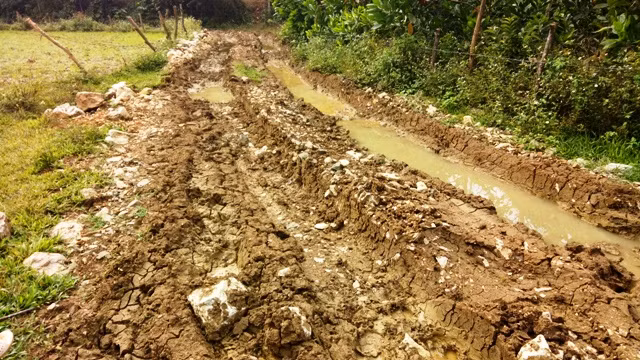 Con đường vận chuyển gỗ của "lâm tặc" nằm sát với Đội bảo vệ quản lý rừng Thung Chấn.