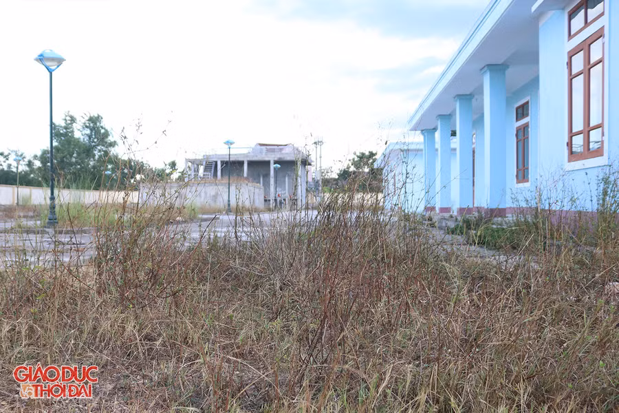 Cỏ mọc um tùm trong khuôn viên nhà máy nước sạch Hưng Thông.