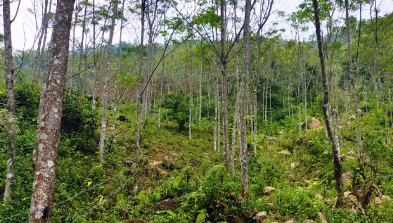 Điểm trường Sài Khao (Mường Lý, Mường Lát).