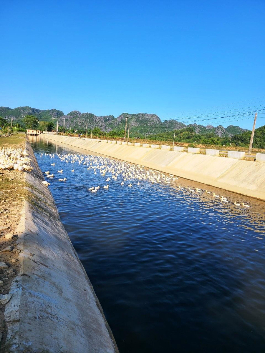 Đoạn mương nước tưới tiêu ở xã Hà Vinh (Hà Trung, Thanh Hóa) - nơi xảy ra vụ việc.