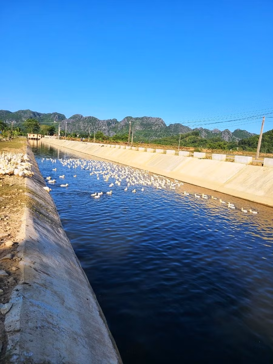 Đoạn mương nước tưới tiêu ở xã Hà Vinh (Hà Trung, Thanh Hóa) - nơi xảy ra vụ việc.