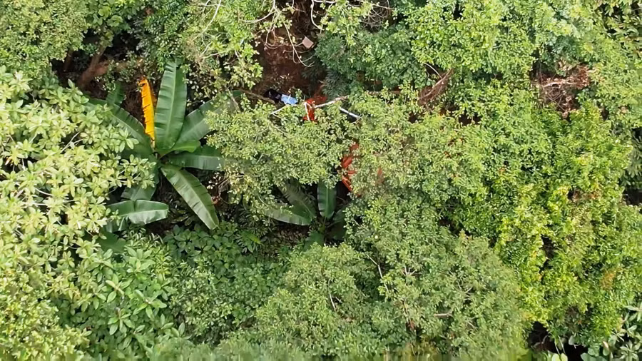 Vị trí những người đào vàng trái phép tập kết máy móc, công cụ khai thác vàng, ở khu vực rừng đặc dụng thuộc bản Tân Phúc, xã Phú Lệ, huyện Quan Hoá, Thanh Hoá. (Ảnh: Bạn đọc cung cấp)