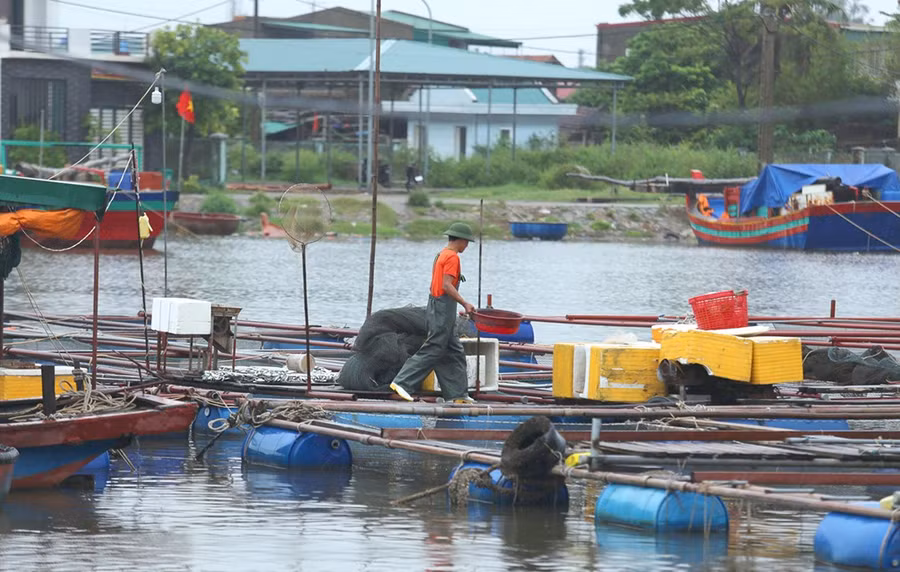 Người dân kiểm tra, buộc lại các lồng bè nuôi cá