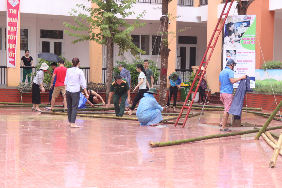 Phụ huynh mang nứa, dây thép, thang... đến để chằng níu, bảo vệ cây xanh