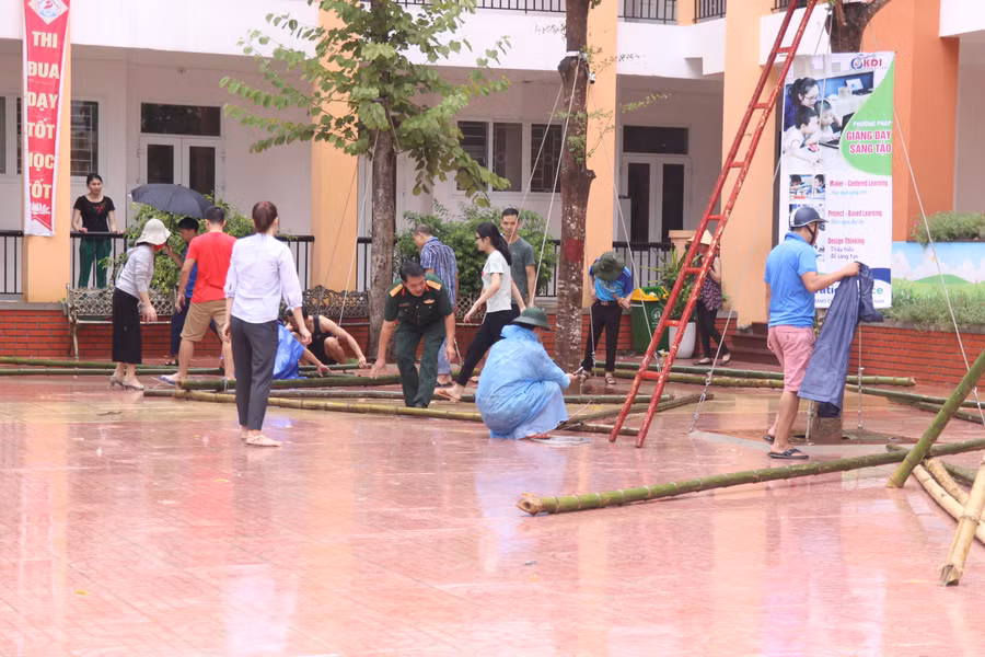 Phụ huynh mang nứa, dây thép, thang... đến để chằng níu, bảo vệ cây xanh