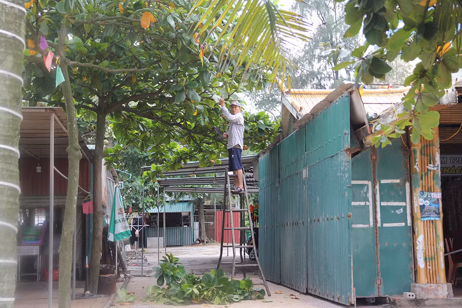 Người dân chặt bớt các cành cây xung quanh kiot bán hàng ven biển Cửa Lò