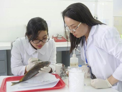 Hoạt động nghiên cứu khoa học tại Trường Đại học Nha Trang. Ảnh: NTU Hoạt động nghiên cứu khoa học tại Trường Đại học Nha Trang. Ảnh: NTU