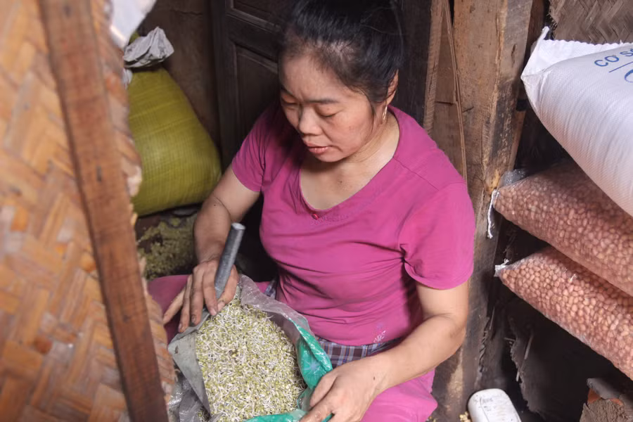 Bà Nguyễn Thị Nhàn (tiểu thương chợ Vinh) đem xúc số đậu xanh bị mọc mầm trắng xóa sau một đêm từ trong kho hàng ra ngoài