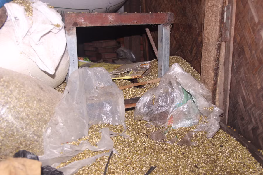 Phía trong các kho hàng, nhiều bao bì nứt vỡ do đậu mọc mầm
