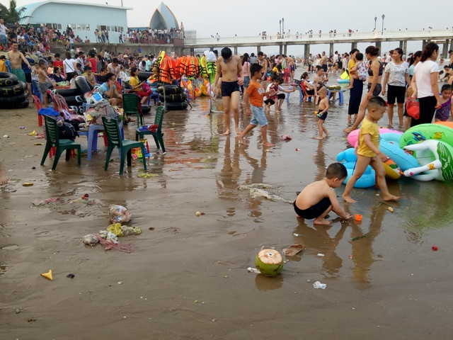 Vỏ dừa được ném ra bãi biển.