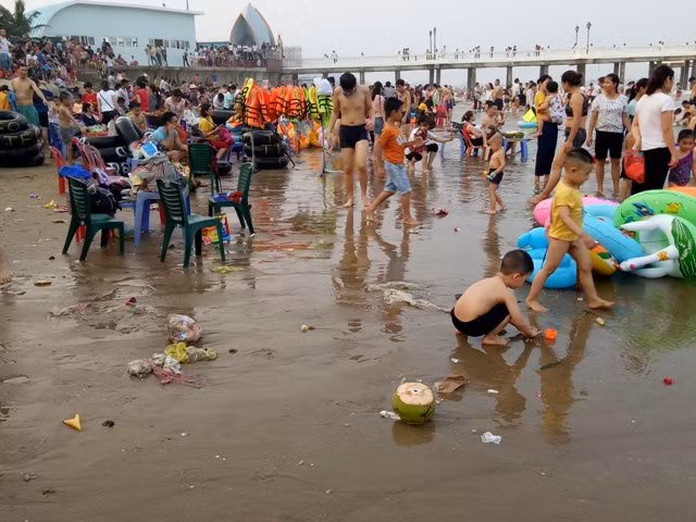 Vỏ dừa được ném ra bãi biển.